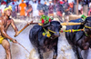 Govt to table Kambala Bill in Assembly